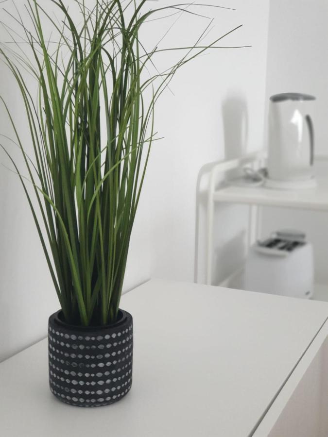 Palmeira Comfort Aveiro Zewnętrze zdjęcie
